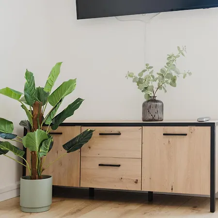 Apartament Stilvolles Mit Blick Auf Dreifluesse-eck Pasawa